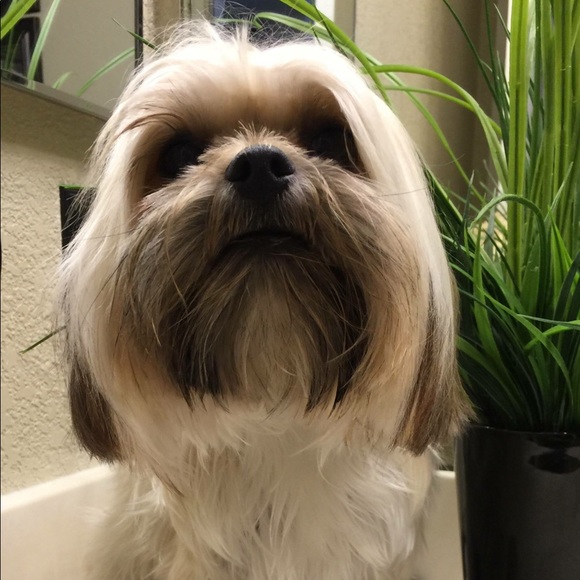 Meet your Posher, Myriam - Picture 1 of 1